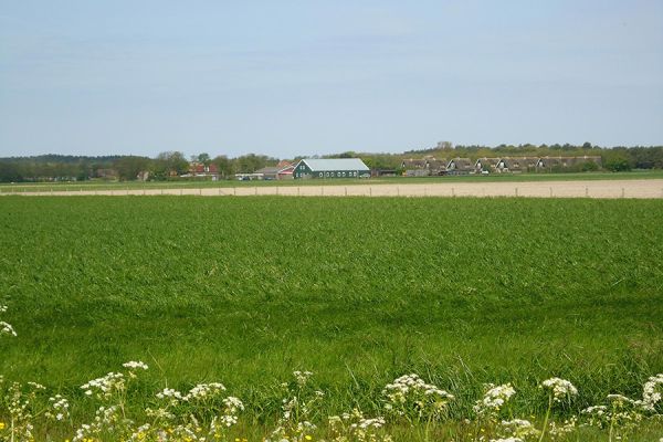 De Vrolijke Zwaluw — photo 2